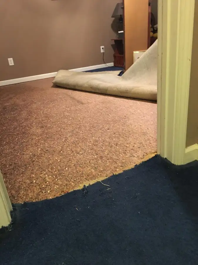 Carpet pad removal revealing water damage during Water Mitigation Services in Seminole